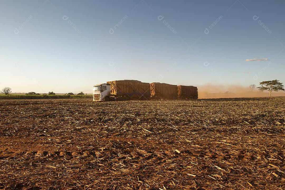 Caminhão fazendo colheita JPG