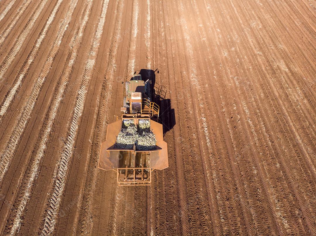 Trator automatizado plantando cana-de-açúcar no Brasil - Pederneiras-S JPG