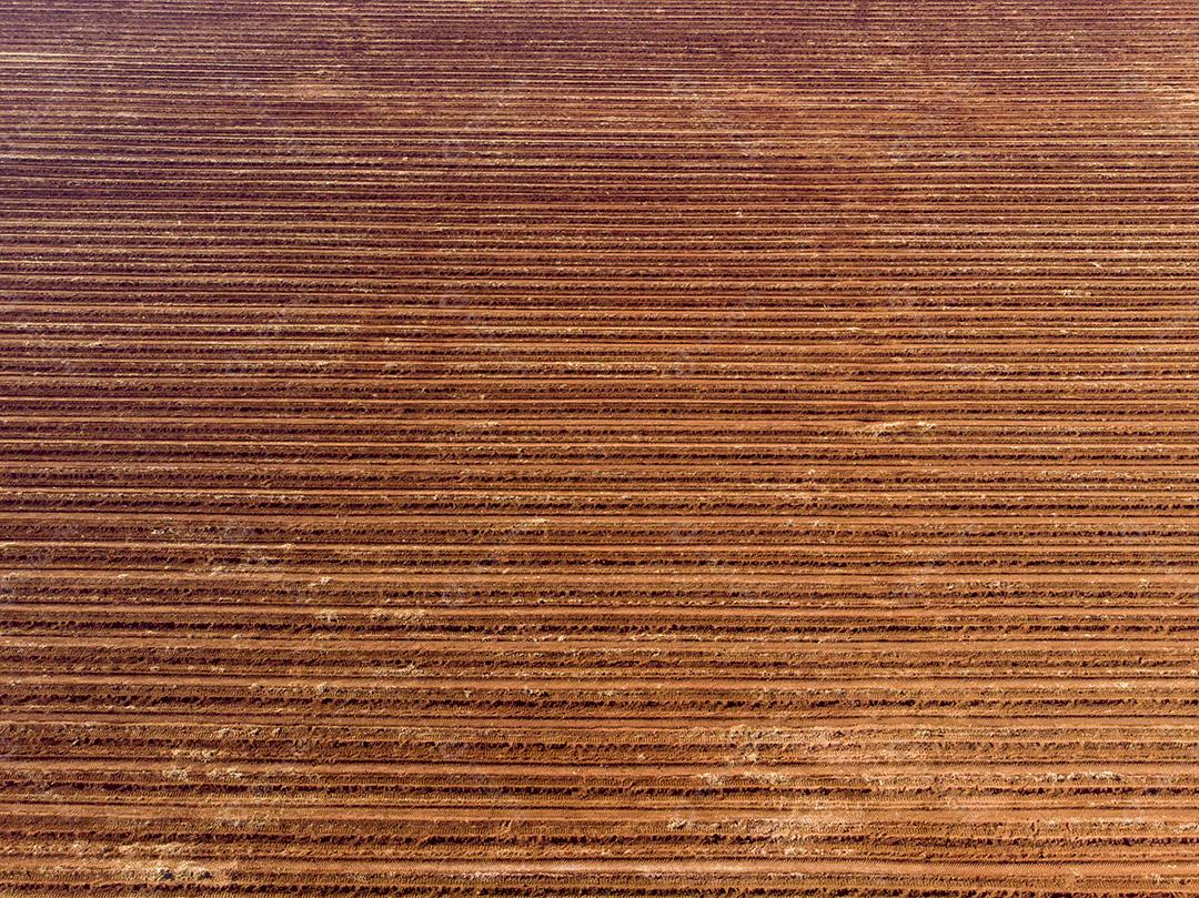Contraste no campo entre terra arada pronta para o plantio JPG