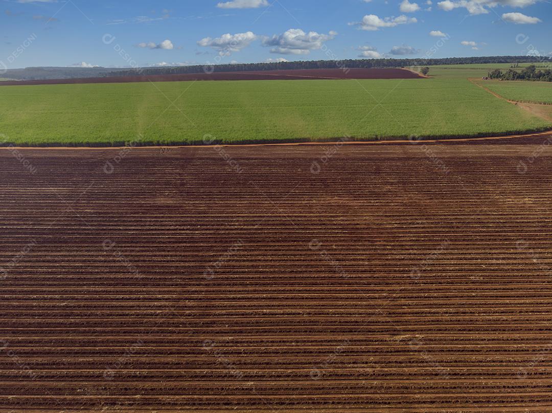 Terra arada, preparada para plantio e canavial JPG