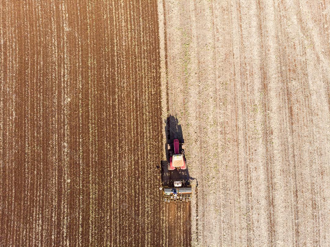 Trator com infiltrado no campo. Semeadura de milho, milho no solo JPG