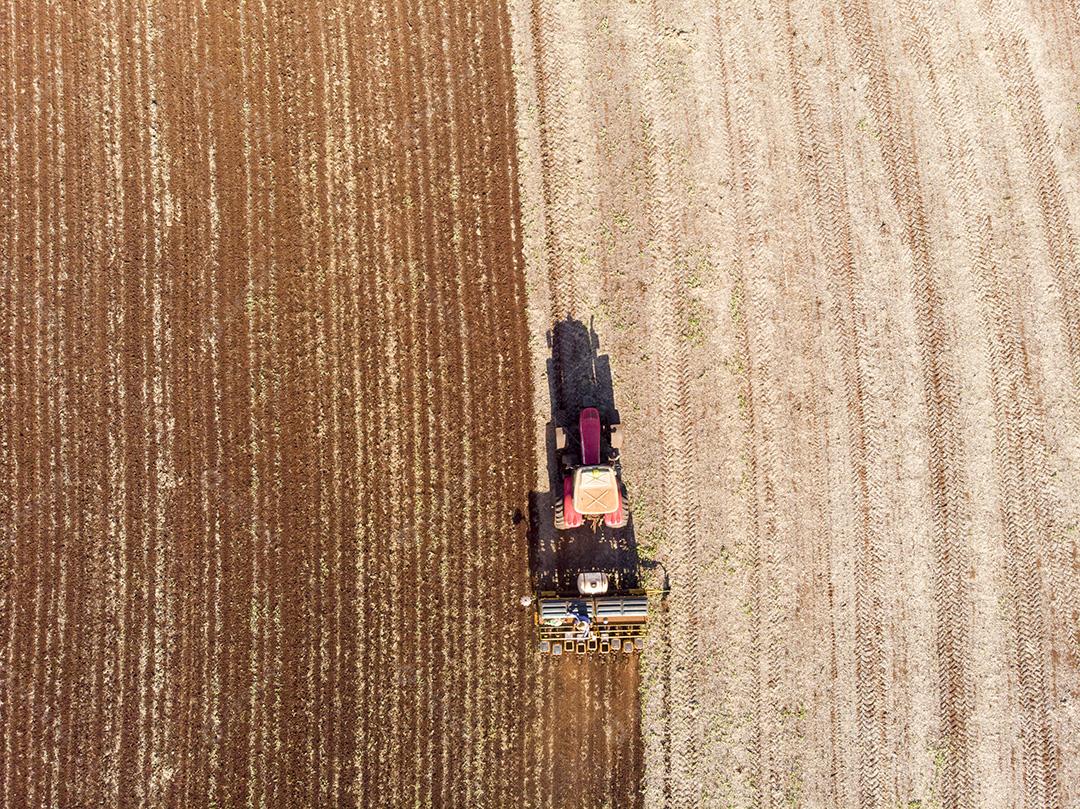 Trator com infiltrado no campo. Semeadura de milho, milho no solo JPG