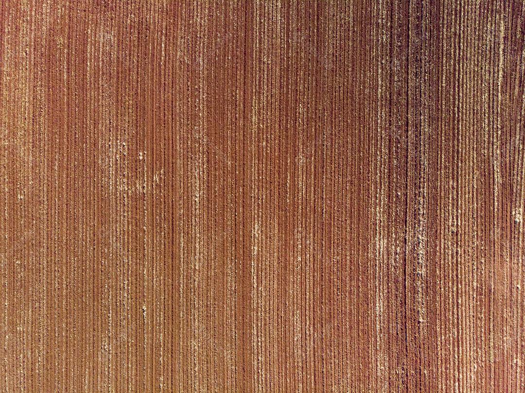 Terra arada, preparada para o plantio JPG