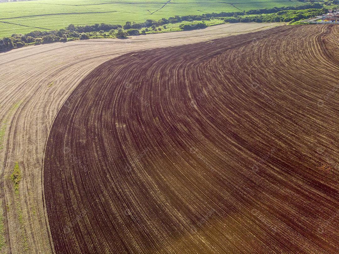 Contraste no campo entre terra arada pronta para o plantio JPG