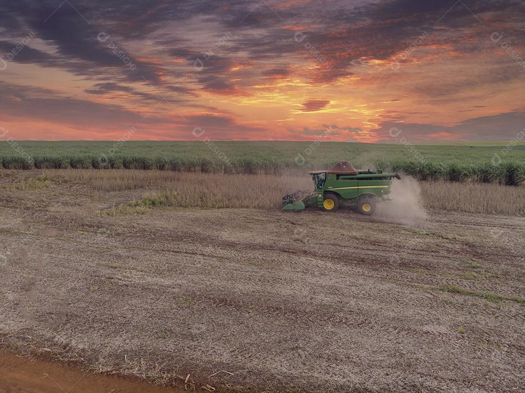 Trator agrícola colhendo soja no campo - Pedernei JPG