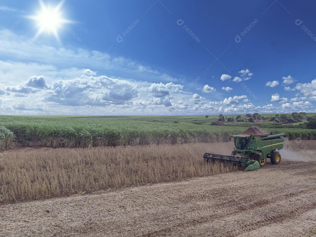 Trator agrícola colhendo soja no campo - Pedernei JPG