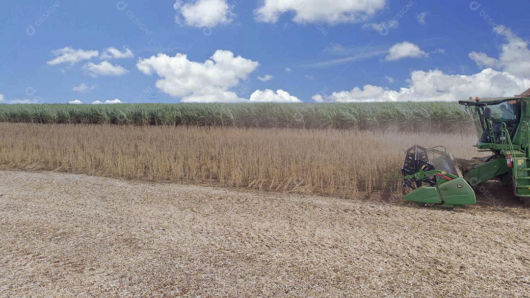 Trator agrícola colhendo soja no campo - Pedernei JPG