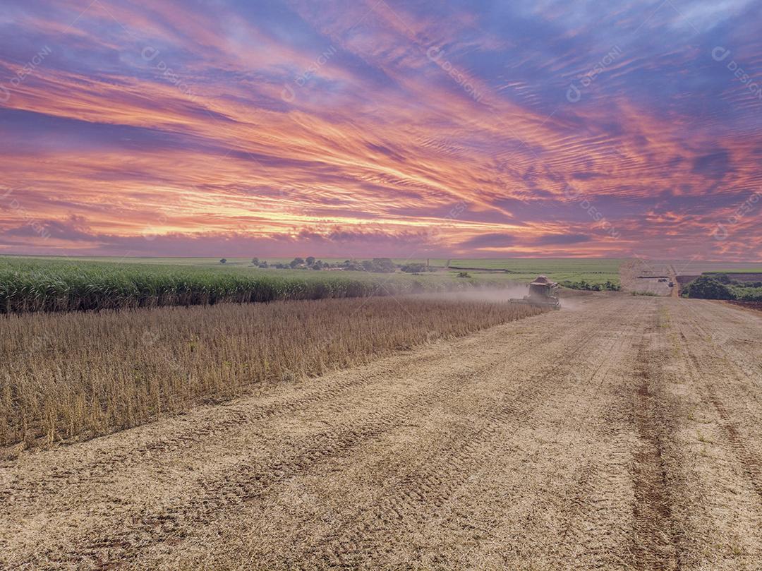 Trator agrícola colhendo soja no campo - Pederneiras JPG