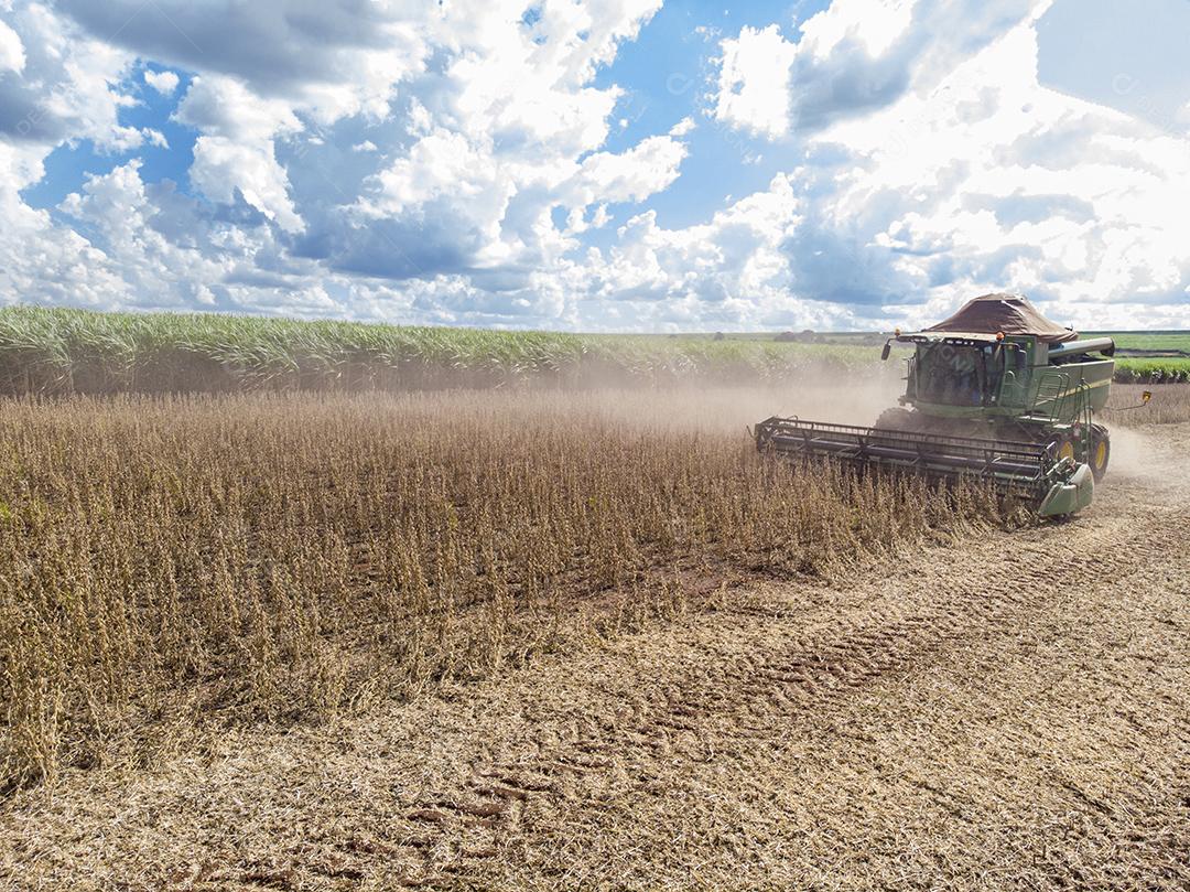 Trator agrícola colhendo soja no campo - Pedernei JPG