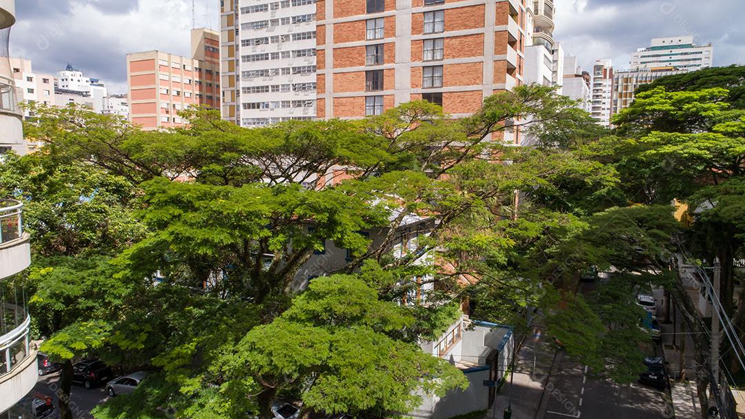 tree-lined street in the Itaim Bibi region of São Paulo JPG