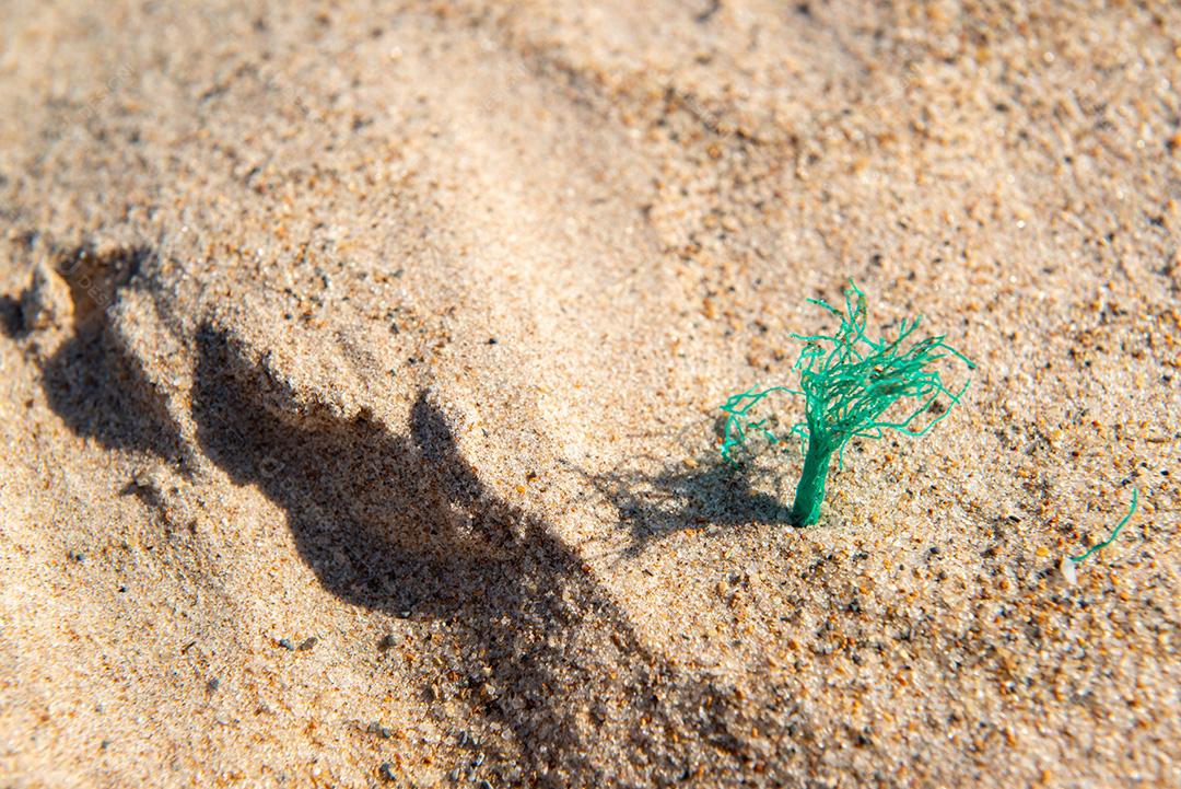 Areia da praia com restos de plástico e lixo em João Pessoa, Paraíba