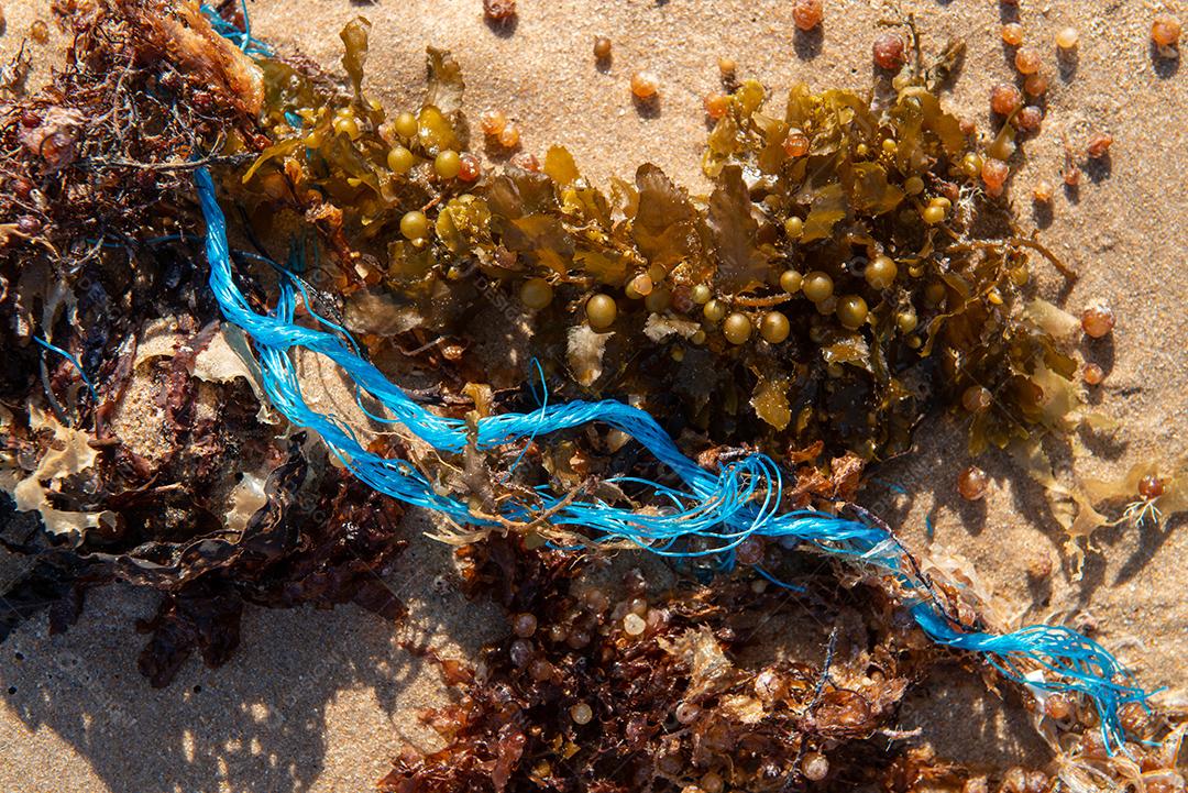 Areia da praia com restos de plástico e lixo em João Pessoa, Paraíba