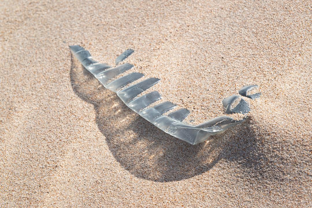 Garrafa plástica na areia, causando poluição praia Poço, próximo à cidade João Pessoa