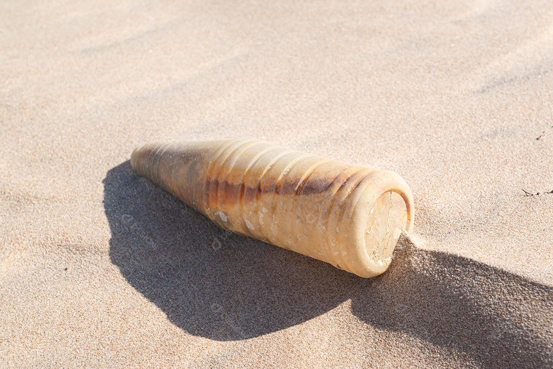 Garrafa plástica na areia, causando poluição praia Poço, próximo à cidade João Pessoa