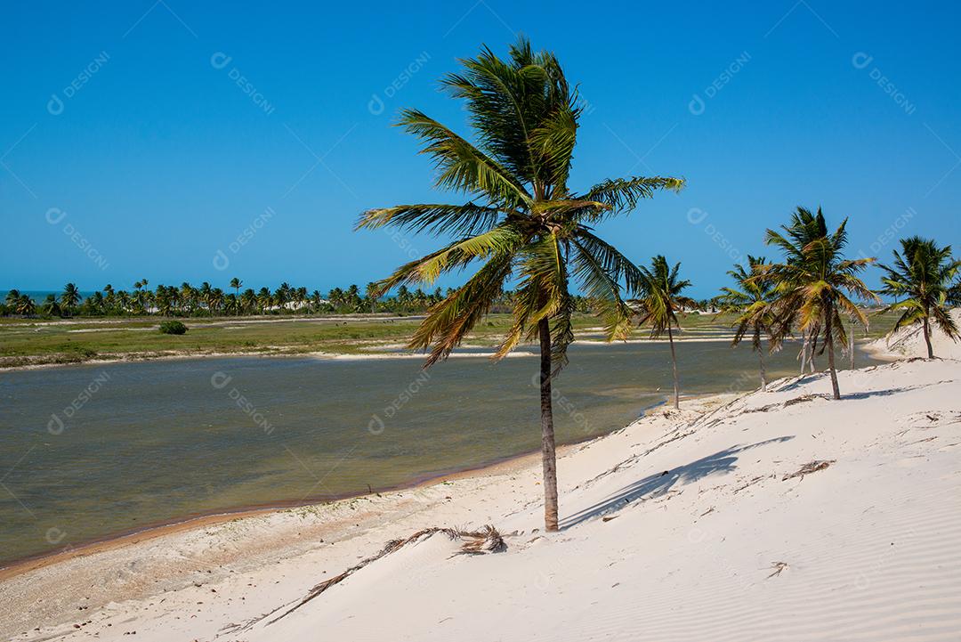 Lagoa de água doce perto da praia, com destaque para a areia branca em Acarau, Ceará,