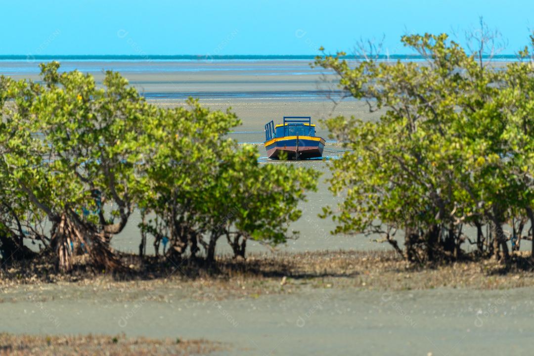 Barco de pesca esperando a maré na praia de Requenguela, Icapuí, Ceará