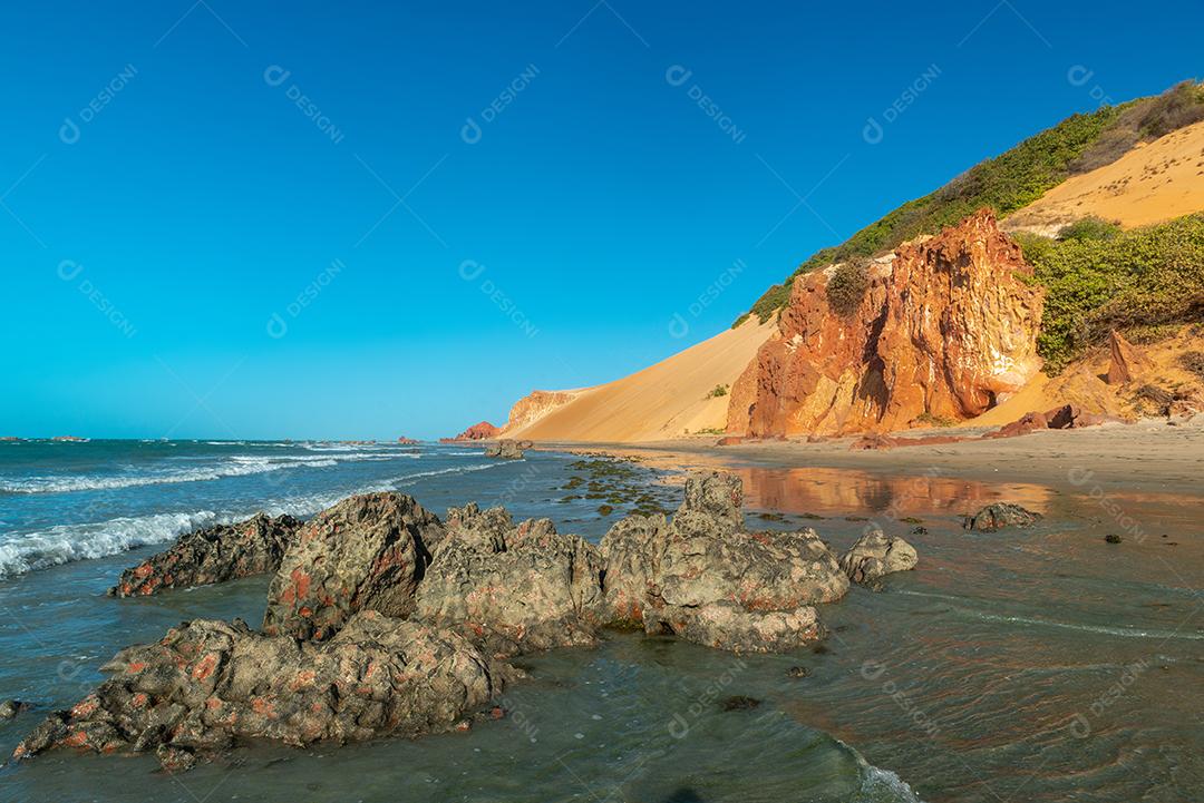 Duna com vegetação em um dia ensolarado na Praia de Ponta Grossa, Icapuí