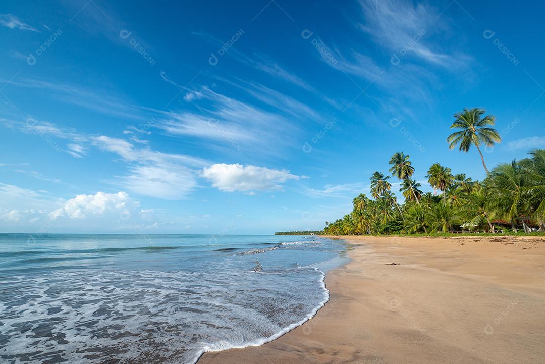 Coqueiros na tranquila e bela praia de Japaratinga, Maragogi, Alagoas, Brasil