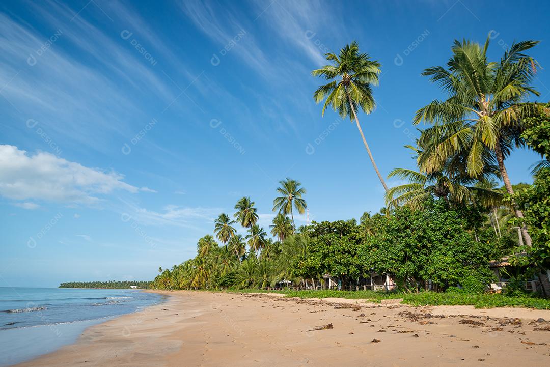 Coqueiros na tranquila e bela praia de Japaratinga, Maragogi, Alagoas, Brasil