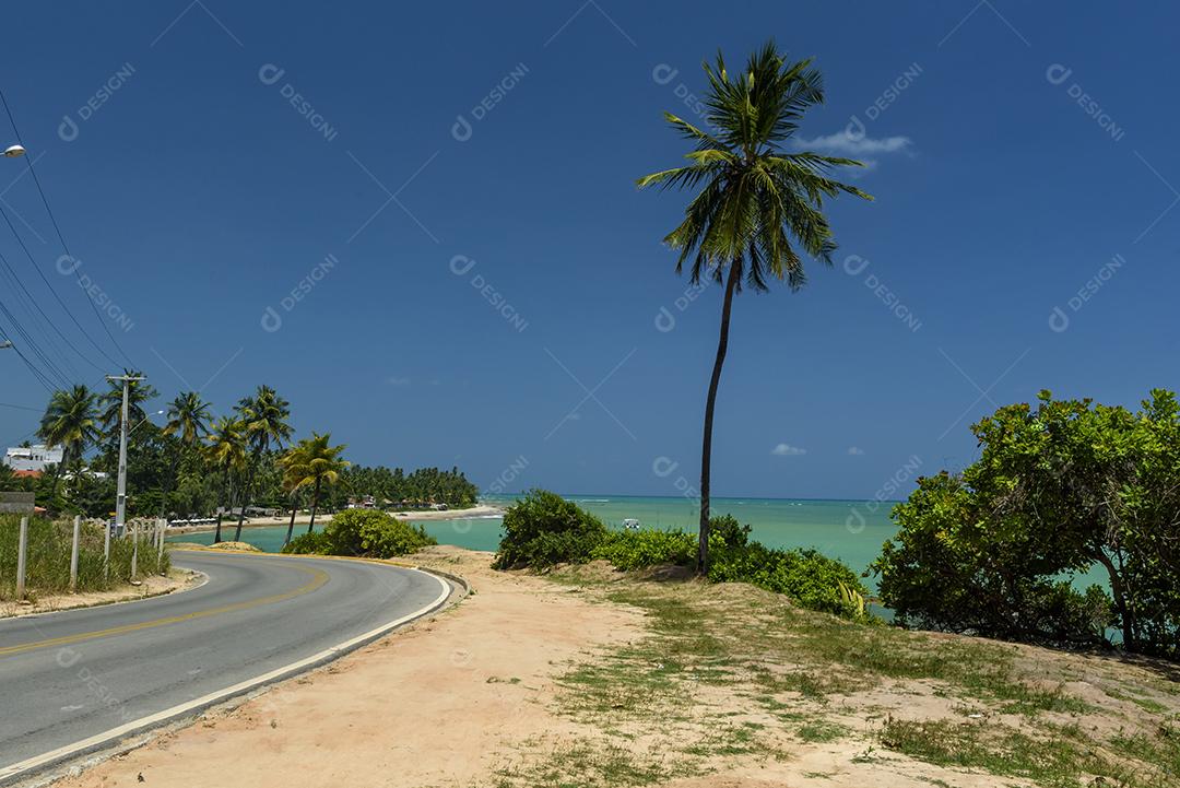 Paisagem Praia de Japaratinga, Alagoas ceu azul