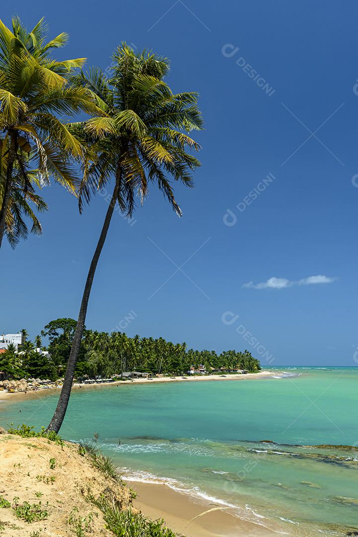 Paisagem Praia de Japaratinga, Alagoas ceu azul