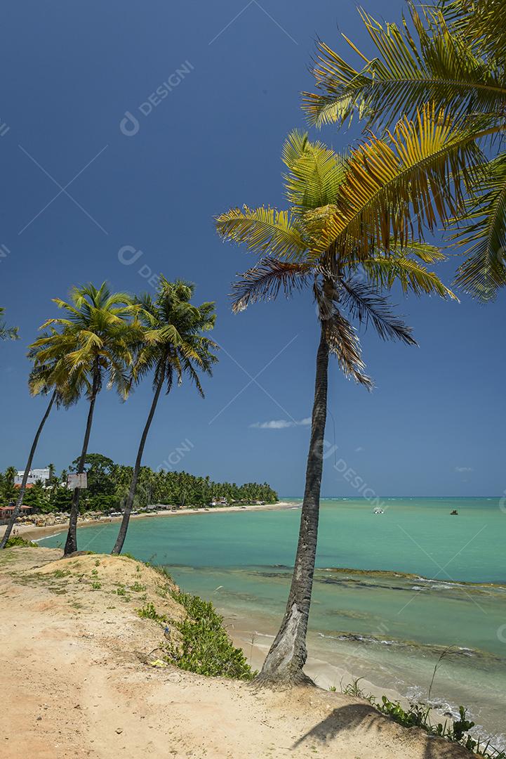 Paisagem Praia de Japaratinga, Alagoas ceu azul