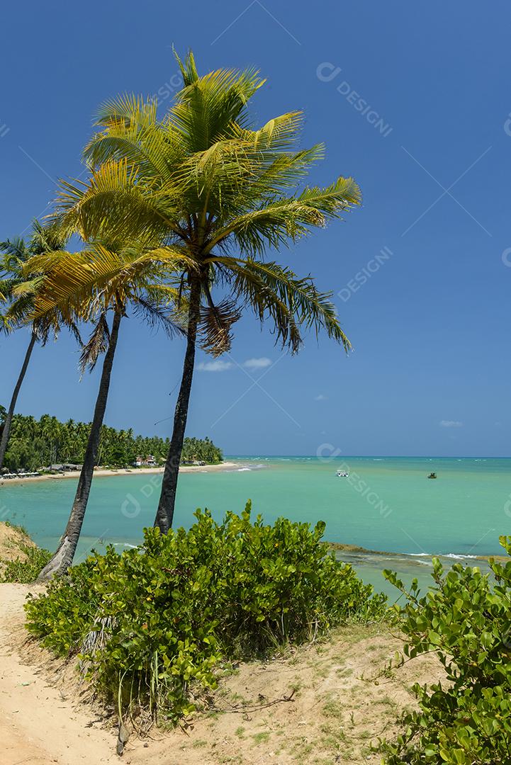 Paisagem Praia de Japaratinga, Alagoas ceu azul