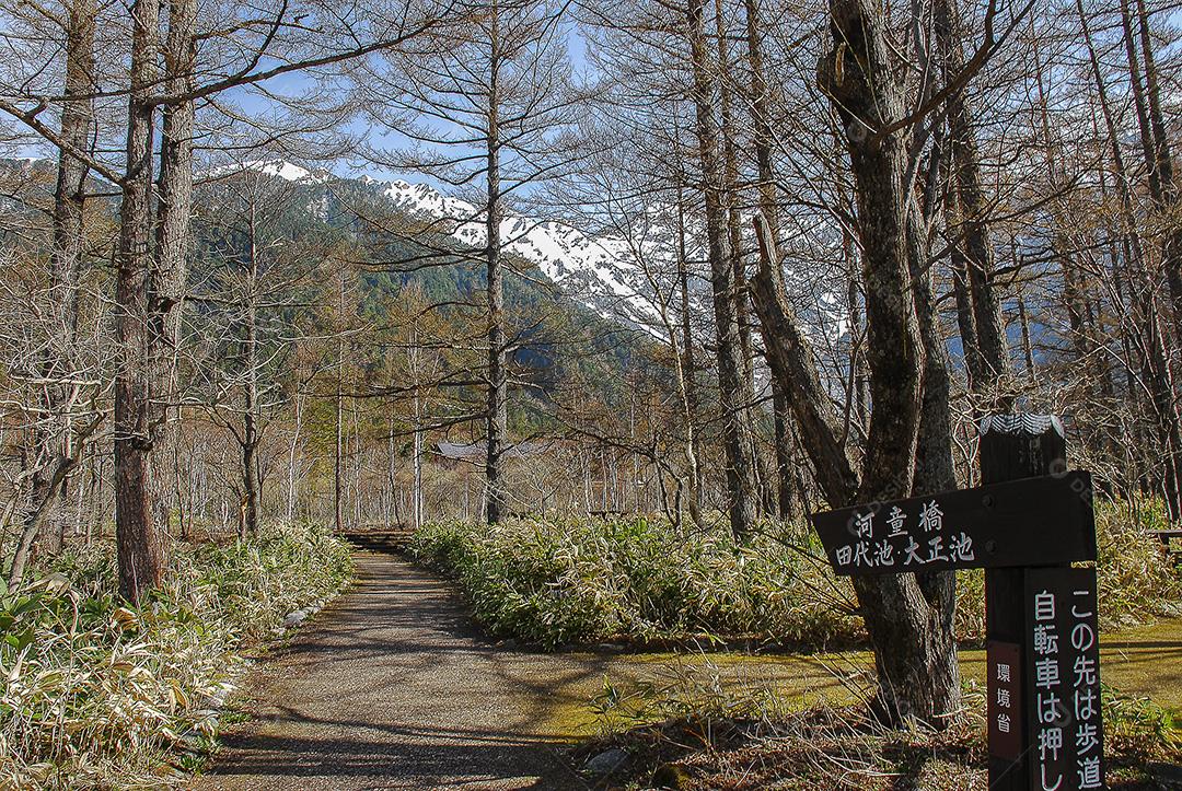 Montanhas cobertas de neve ao fundo e caminho entre árvores cena inverno em Kamikochi