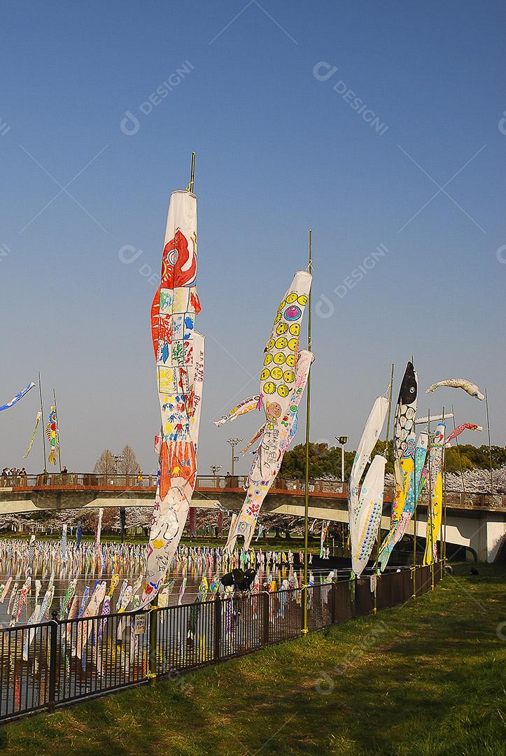 Dia dos meninos no Japão. Flor de cerejeira