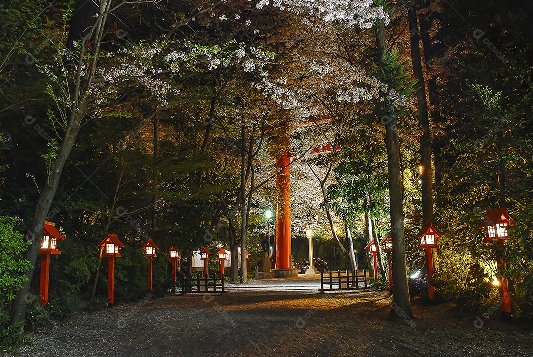 Vista noturna da bela flor de cerejeira no parque da cidade no Japão