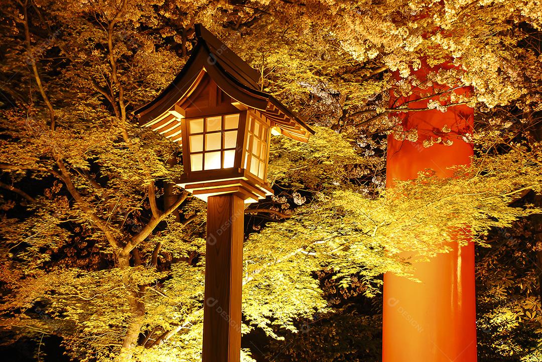 Vista noturna da bela flor de cerejeira no parque da cidade no Japão