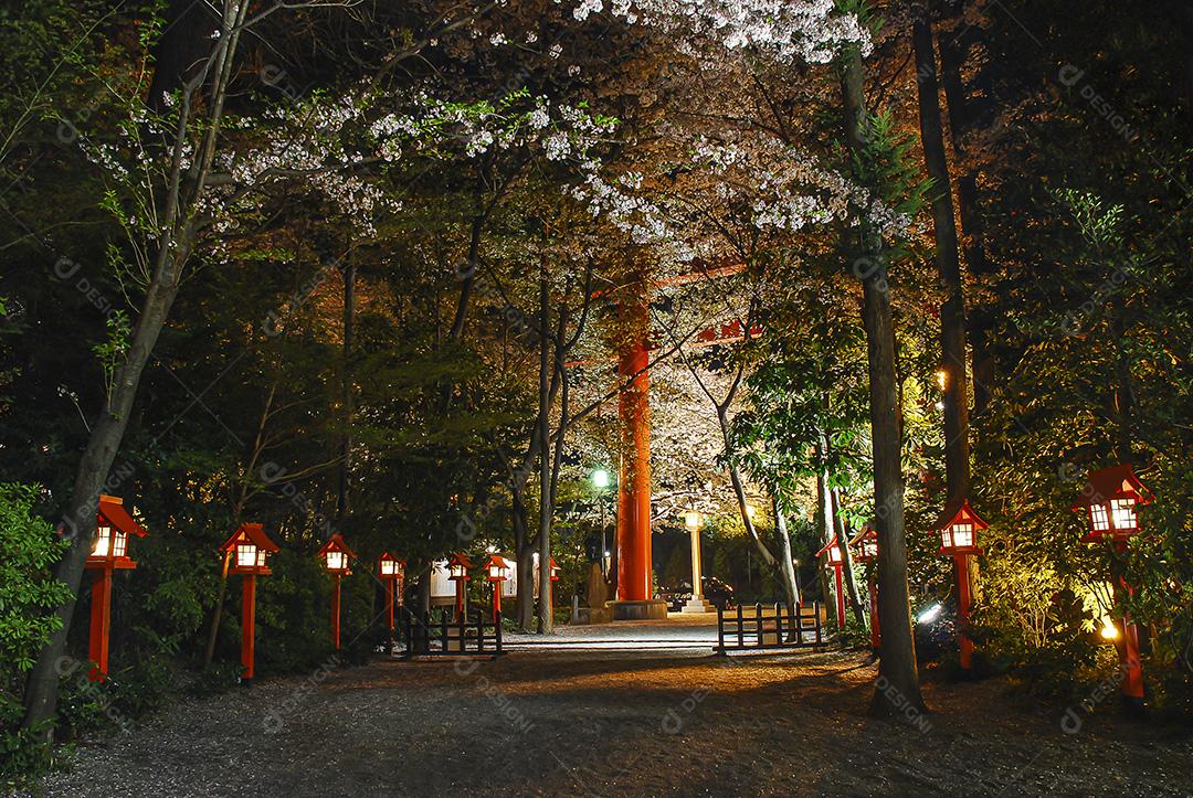 Vista noturna da bela flor de cerejeira no parque da cidade no Japão