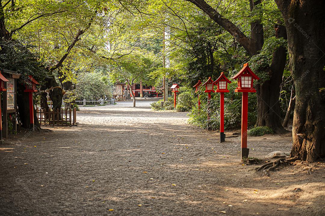 Lanternas do santuário fox - Lifestyle & Culture Photos - Kates