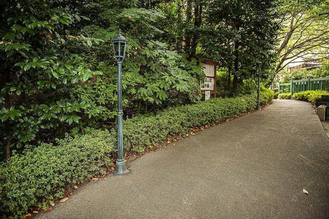 japão cultura linguagem governo