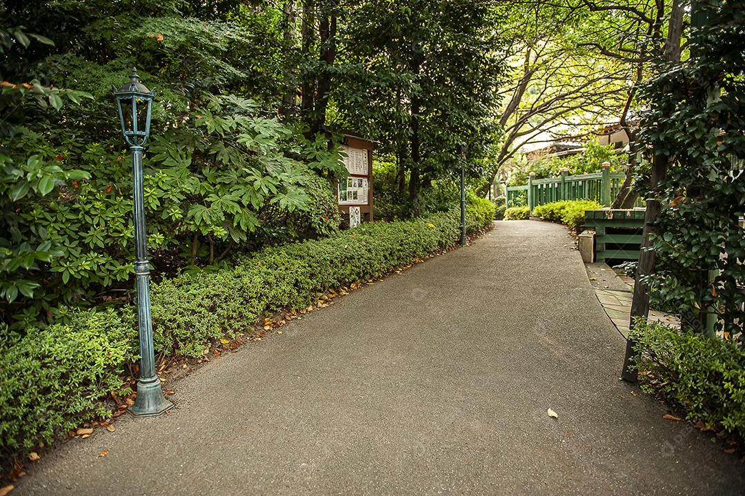 japão cultura linguagem governo