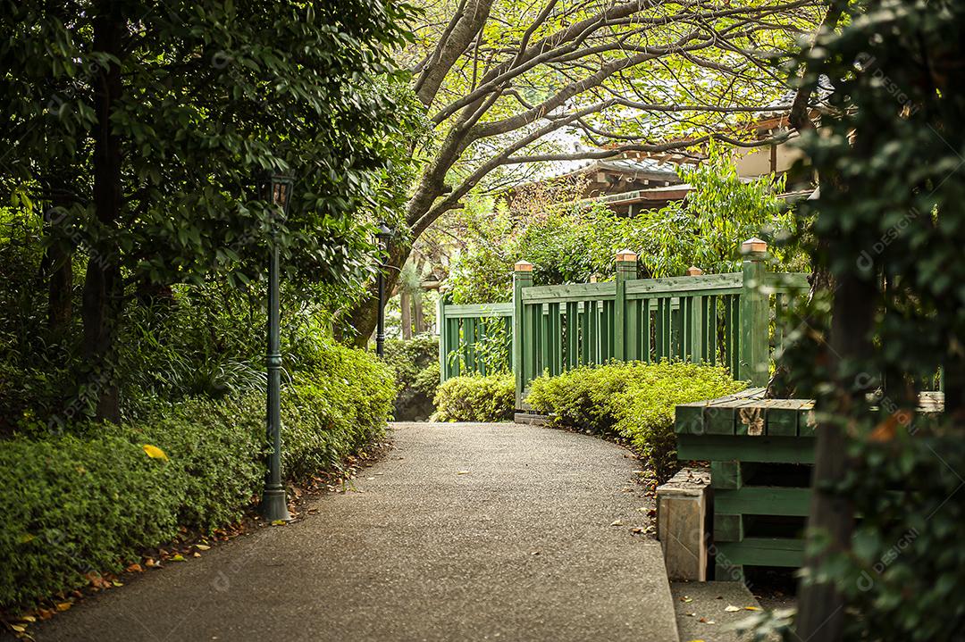 japão cultura linguagem governo