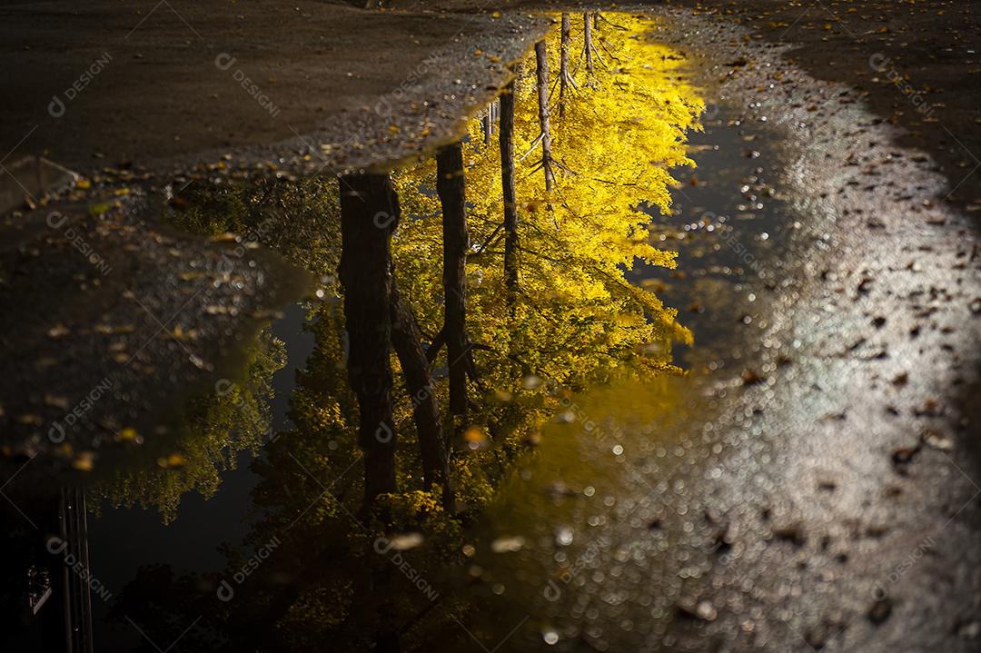 poça de lama na rua