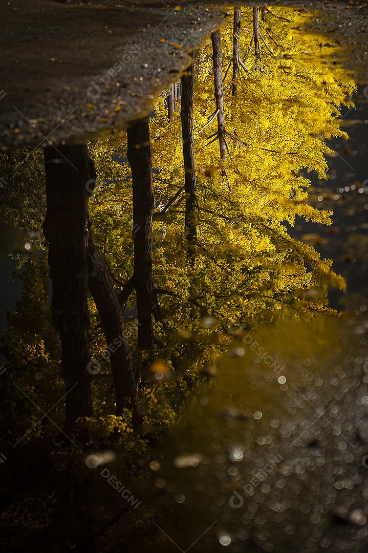 poça de lama na rua