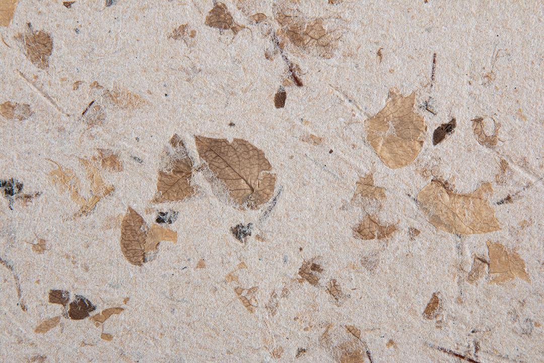 Textura de papel artesanal reciclado com folhas