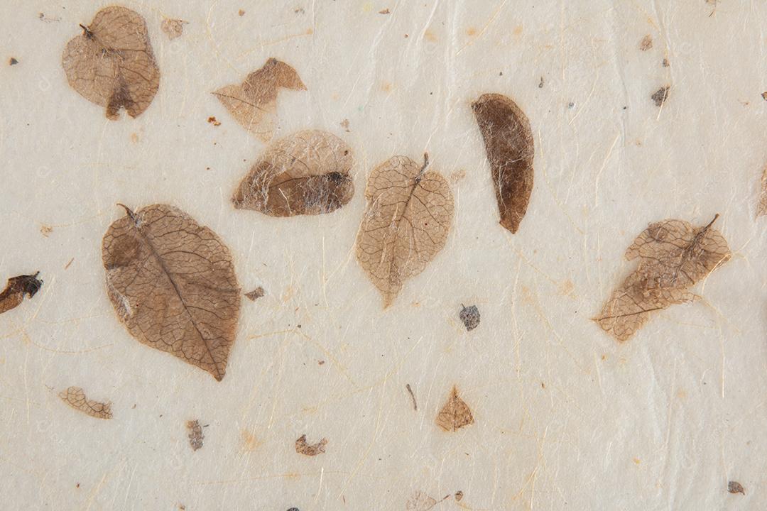 fundo de textura de papel artesanal. Papel reciclado.