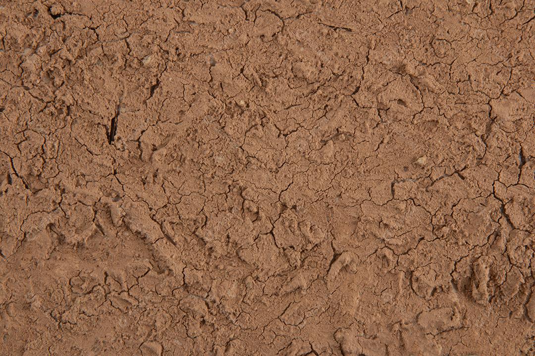 Textura da terra seca pela seca. O chão racha