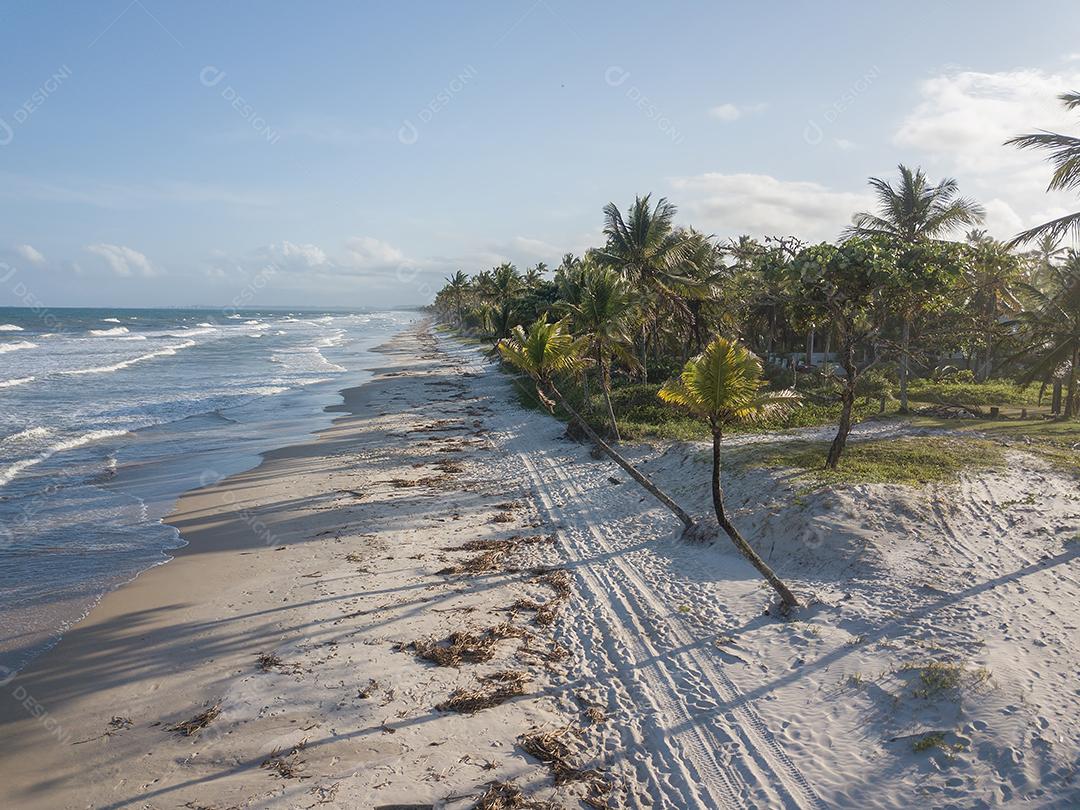 Vista aérea de drone praia deserta com coqueiros. Ilhéus Bah