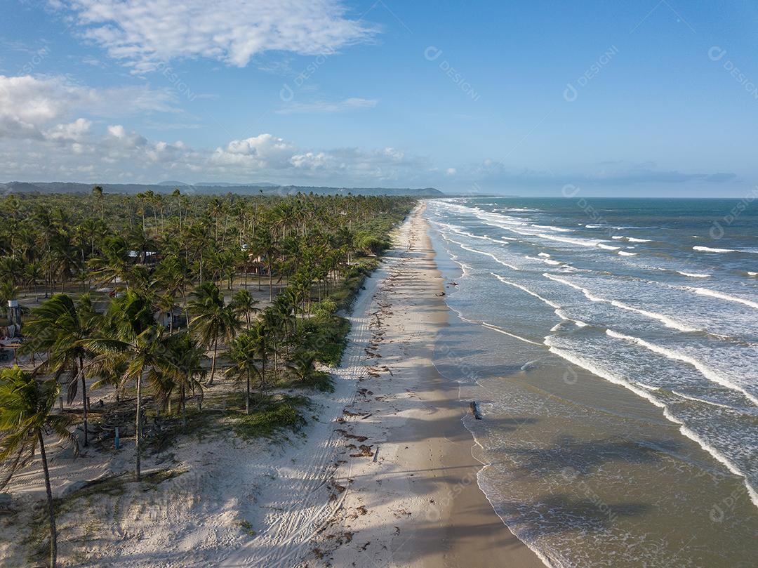 Vista aérea de drone praia deserta com coqueiros. Ilhéus Bah