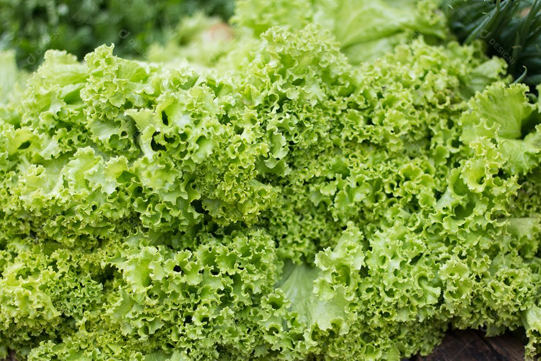 Alface à venda na Feira