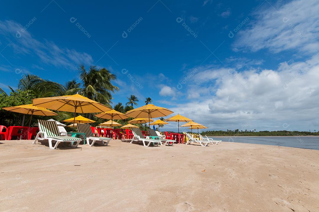 Paisagem tropical com praia de coqueiro na ilha