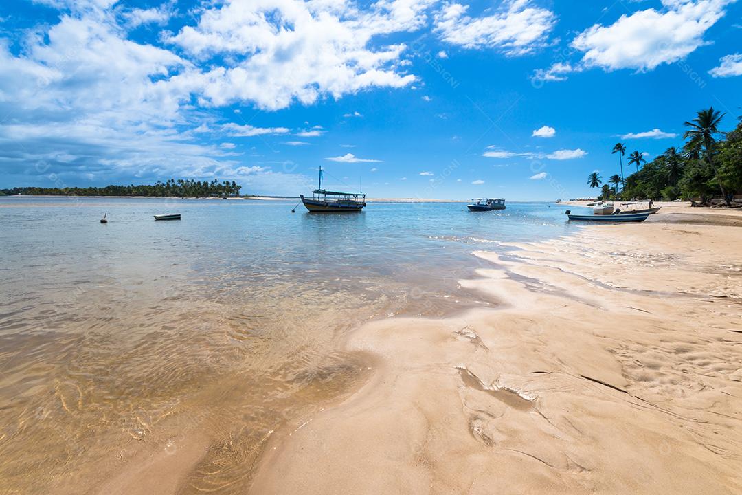 Paisagem tropical com praia de coqueiro na ilha