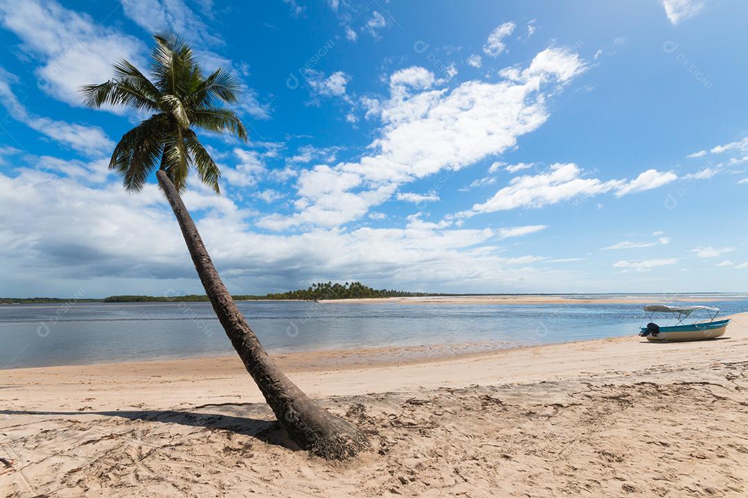 Paisagem com praia de coqueiro na ilha de Boipeba Bahia