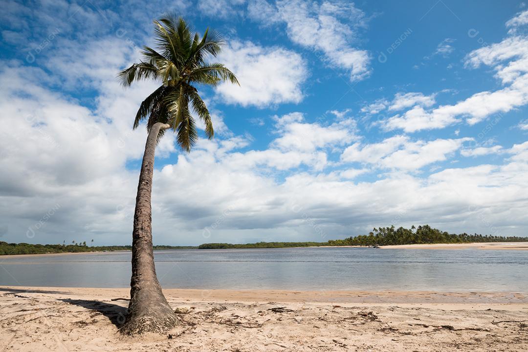 Paisagem com praia de coqueiro na ilha de Boipeba Bahia