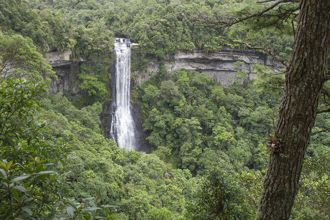 Cachoeira no meio de uma floresta tropical no Brasil