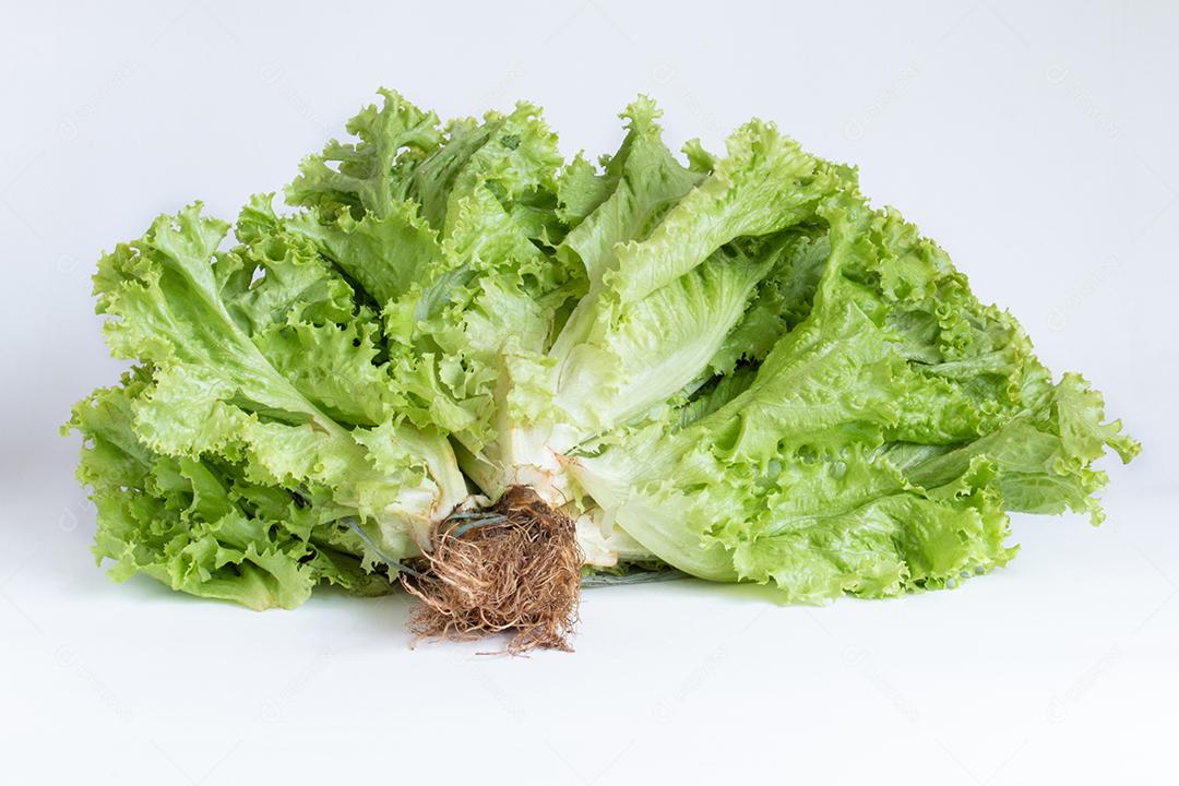 Folhas de alface verde frescas, folha de salada isolada no branco